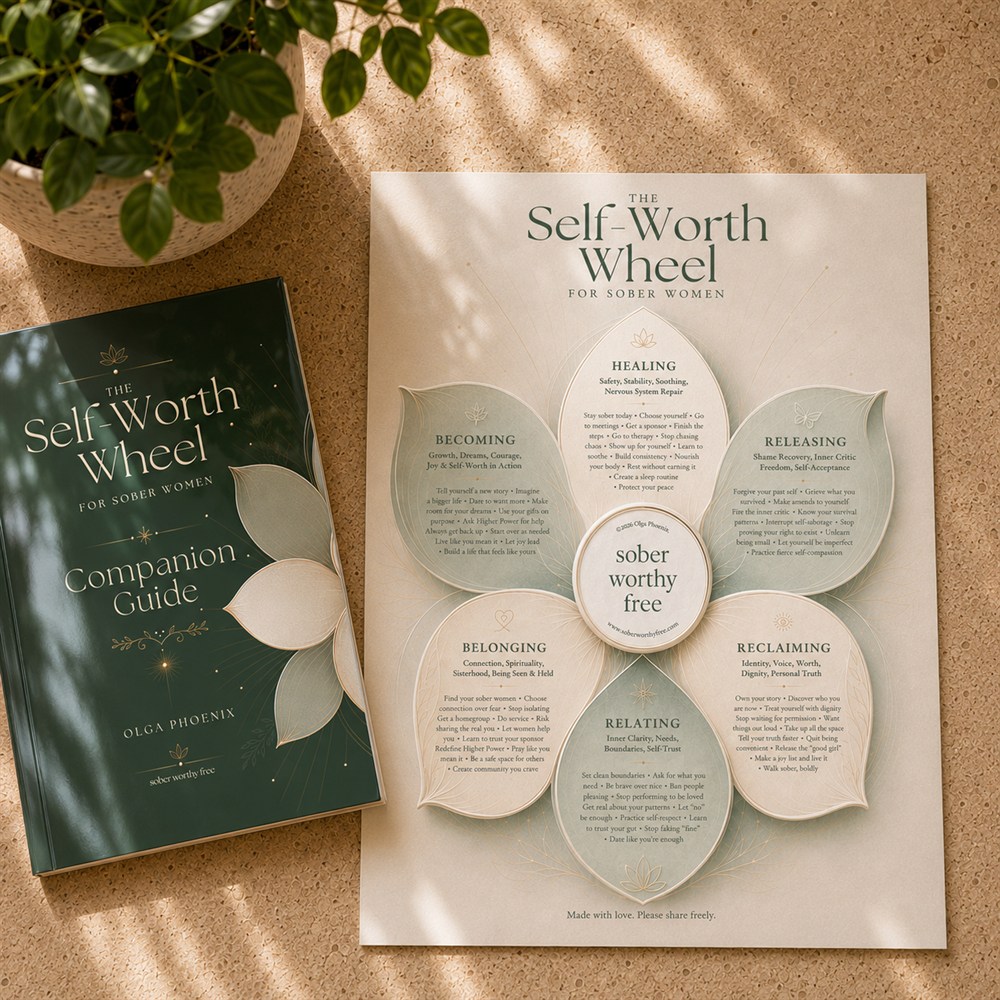 The Self-Worth Wheel and Companion Guide for Sober Women